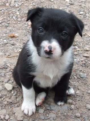 Click for large image