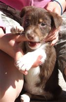 Click for large image