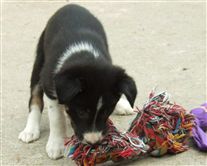 Click for large image