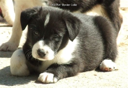 Click for large image