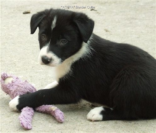 Click for large image