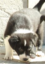 Click for large image