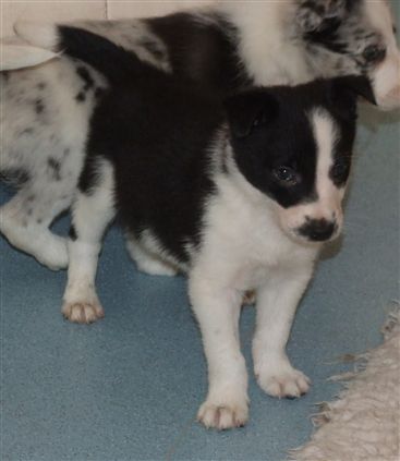 Click for large image