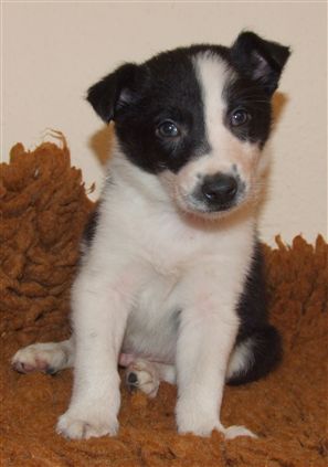 Click for large image