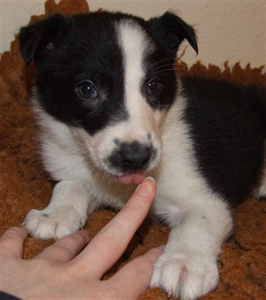 Click for large image