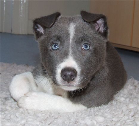 Click for large image