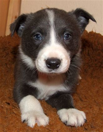 Click for large image