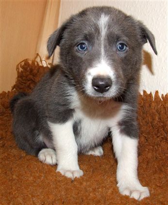 Click for large image