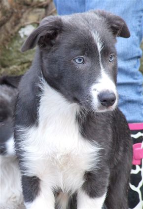 Click for large image