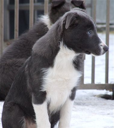 Click for large image