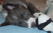 Click for large image