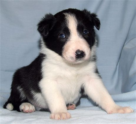 Click for large image