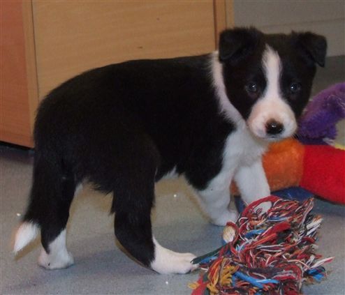 Click for large image