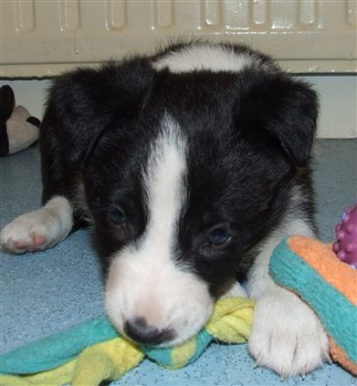 Click for large image