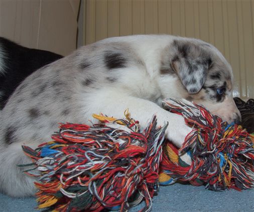 Click for large image