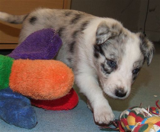 Click for large image