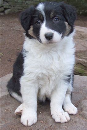 Click for large image