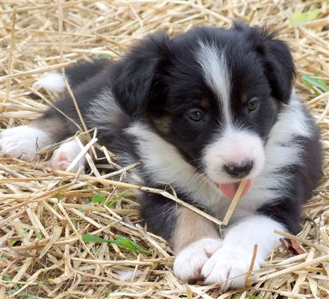 Click for large image