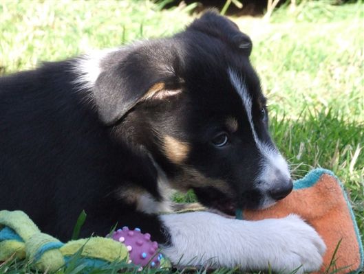 Click for large image