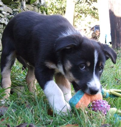 Click for large image