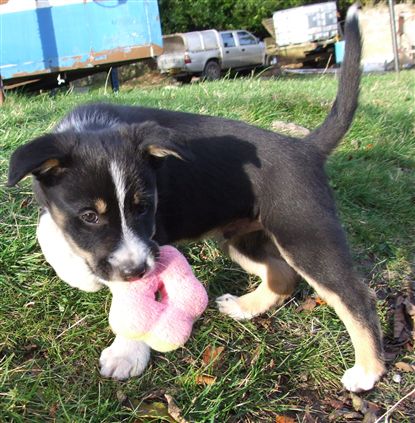 Click for large image