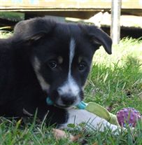 Click for large image