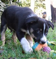 Click for large image