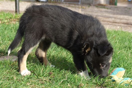 Click for large image