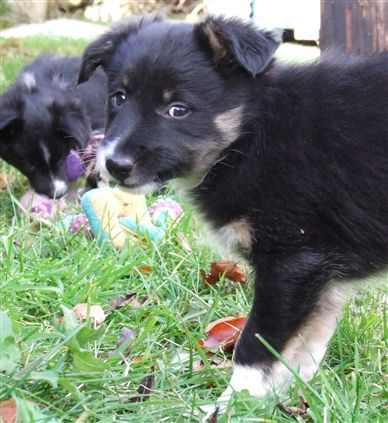 Click for large image