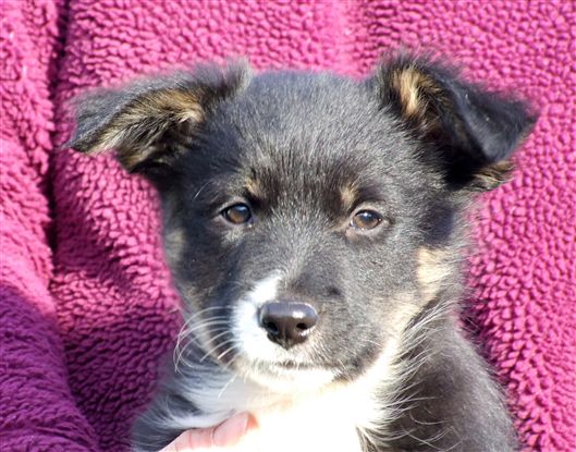 Click for large image