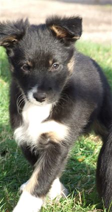 Click for large image