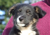 Click for large image