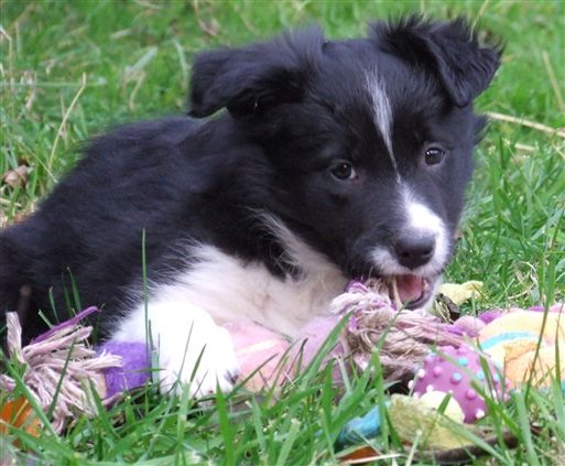 Click for large image