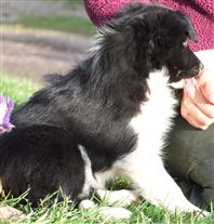 Click for large image