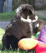 Click for large image