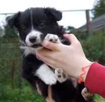 Click for large image