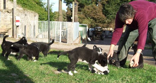 Click for large image