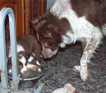 Click for large image